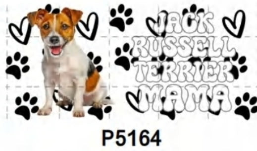 P5164 Dog Jack Russell