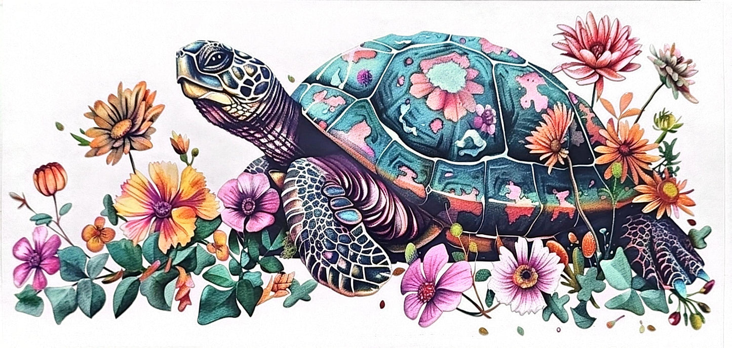 Turtle 1