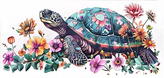 Turtle 1