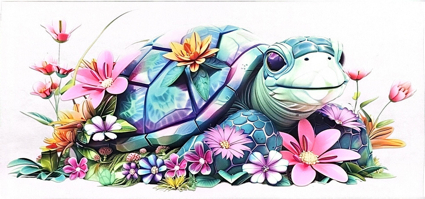 Turtle 2