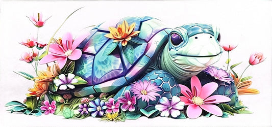 Turtle 2