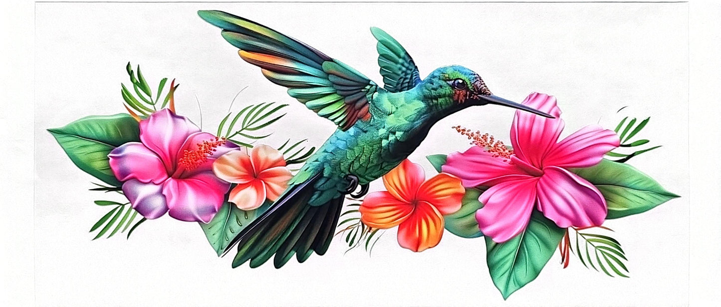 Hummingbird 1