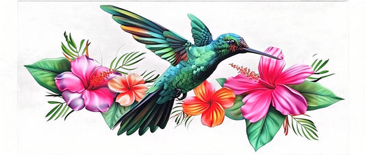 Hummingbird 1