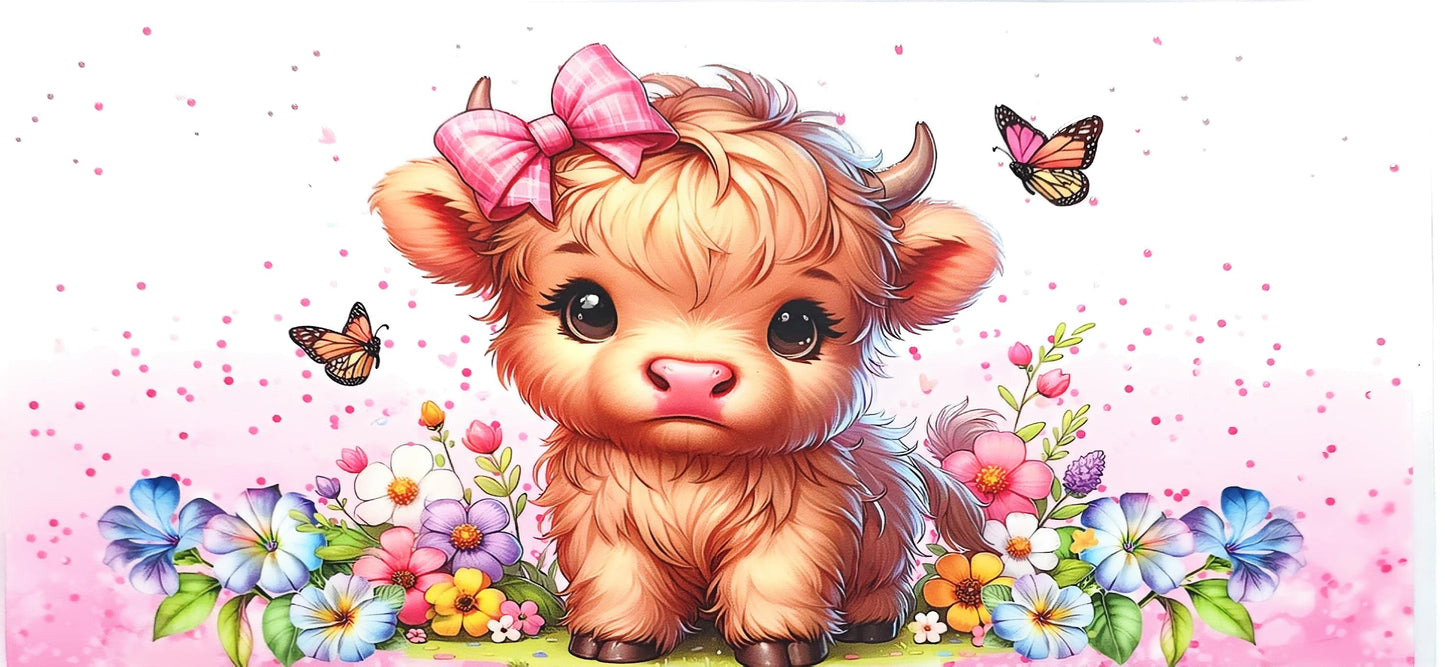 Highland Cow 2