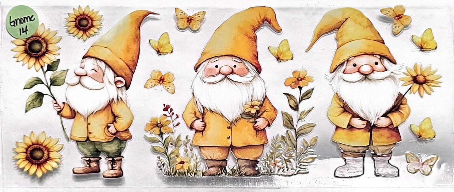 Gnome 14