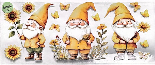 Gnome 14