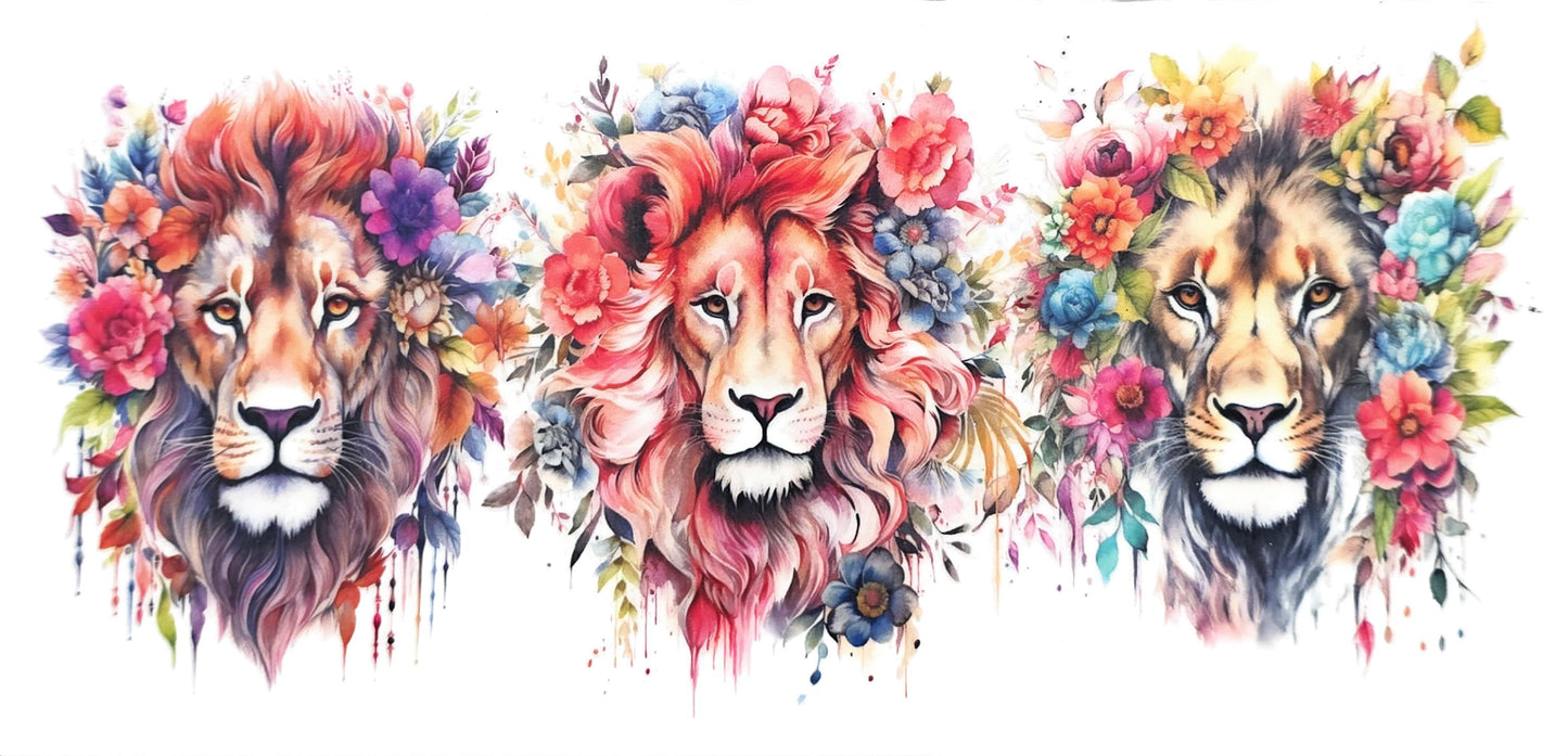 Lion 1
