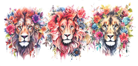 Lion 1