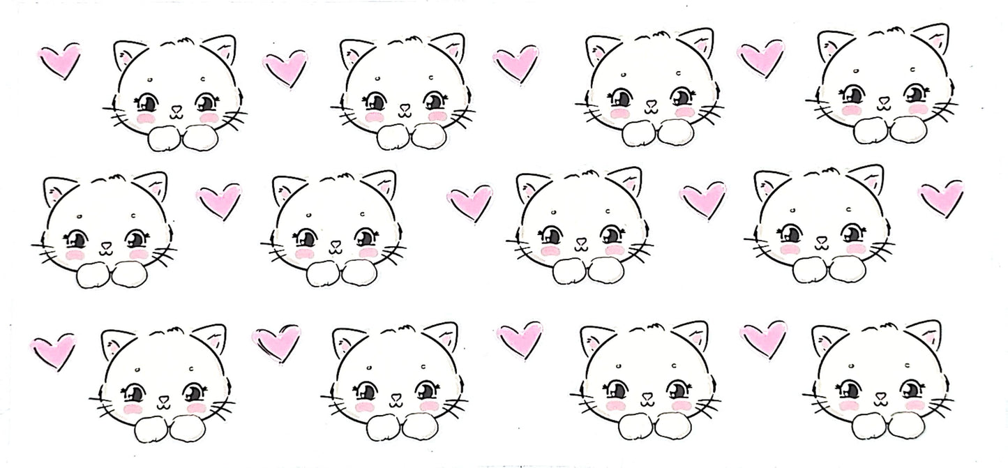 Cat 1