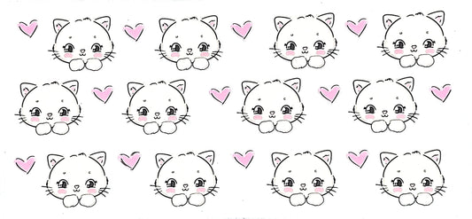 Cat 1