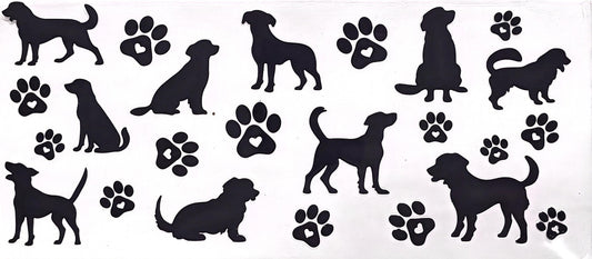 Dog 47