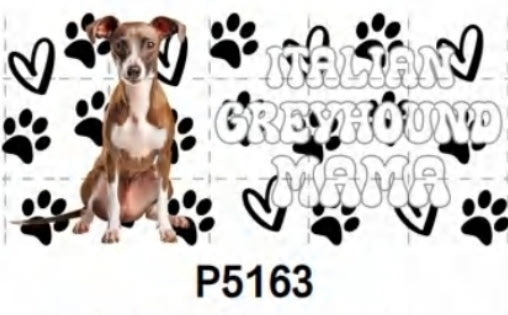 P5163 Dog Greyhound