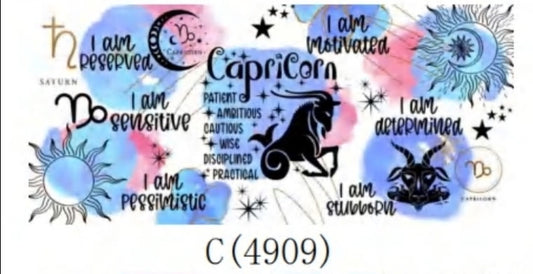 C 4909 Capricorn