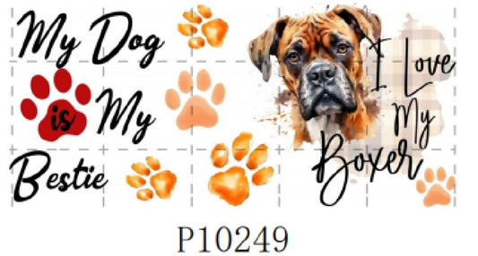 P10249 Dog boxer