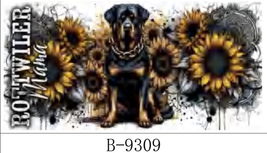 B-9309 Dog Rottweiler