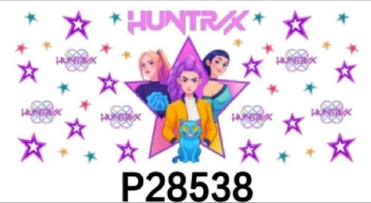 P28538