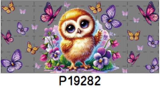 P19282 Owl