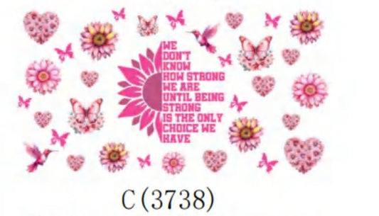 C3738 breast cancer