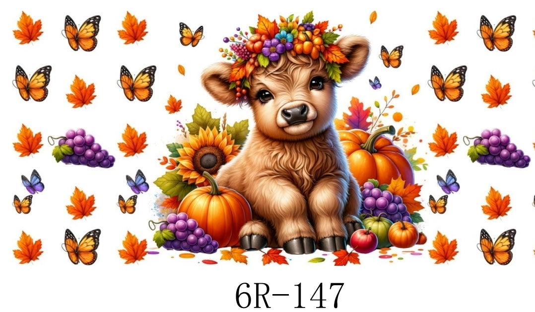 6R – 147