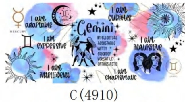 C 4910 Gemini
