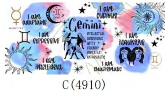 C 4910 Gemini