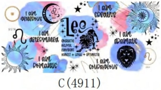 C 4911 Leo