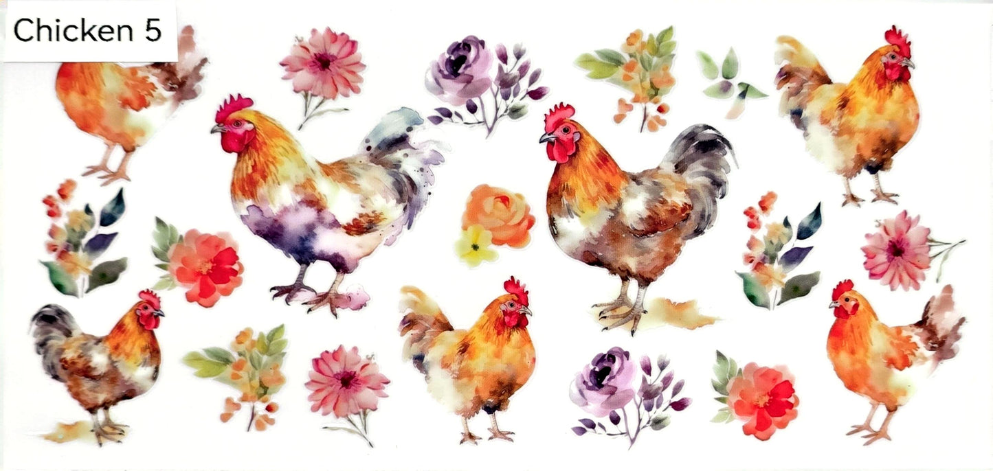 Chicken 5