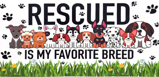 Dog Rescue