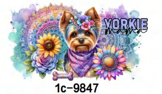 1c-9847 Yorkie