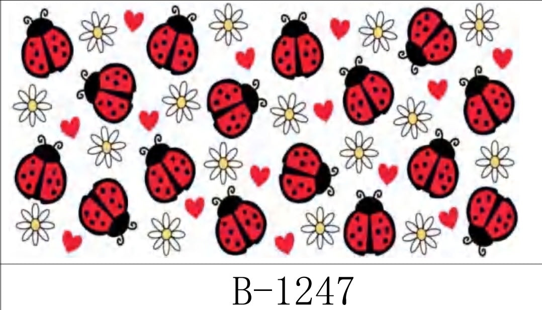 B – 1247 ladybugs