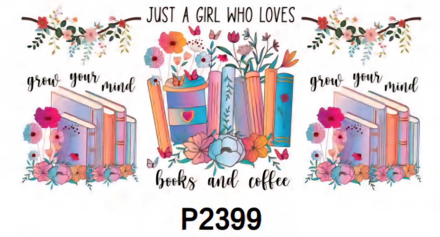 P2399 Books