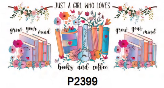 P2399 Books