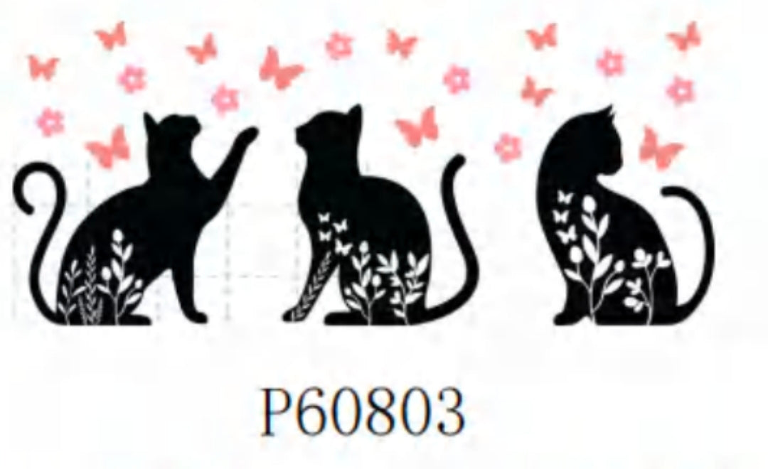 P60803 Cat