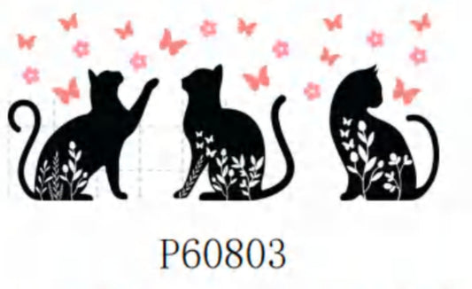 P60803 Cat