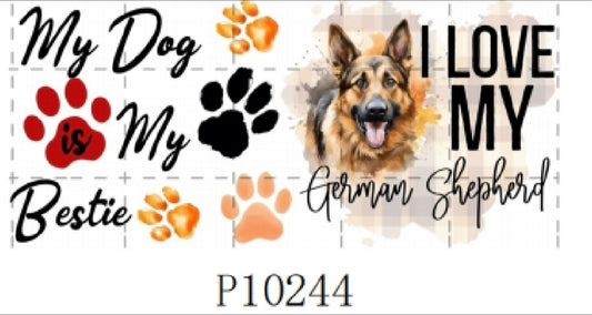 P10244 Dog German Shepherd