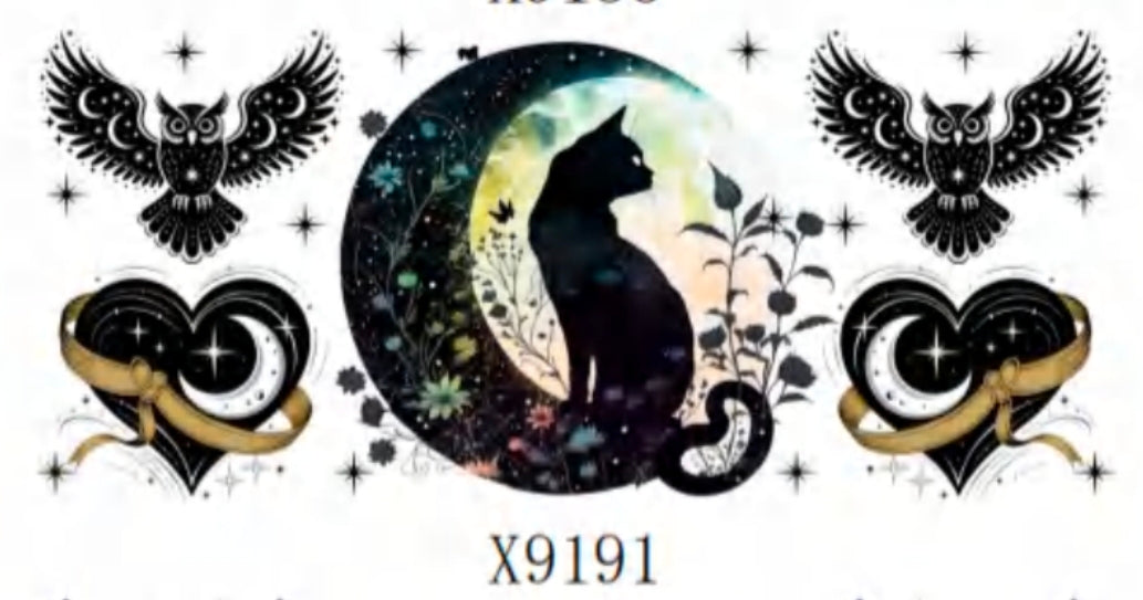 X9191