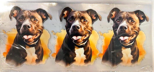 Pitbull1